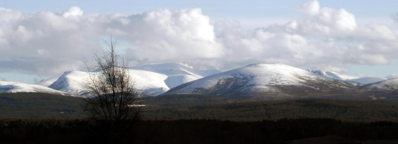 Amazing Cottage With Private Indoor Swim Pool And Hot Tub Grantown-on-Spey Eksteriør bilde