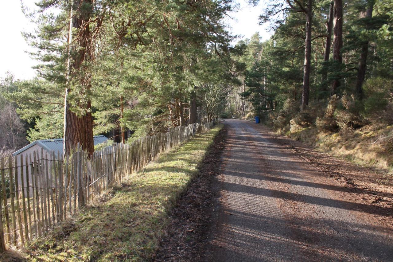 Amazing Cottage With Private Indoor Swim Pool And Hot Tub Grantown-on-Spey Eksteriør bilde