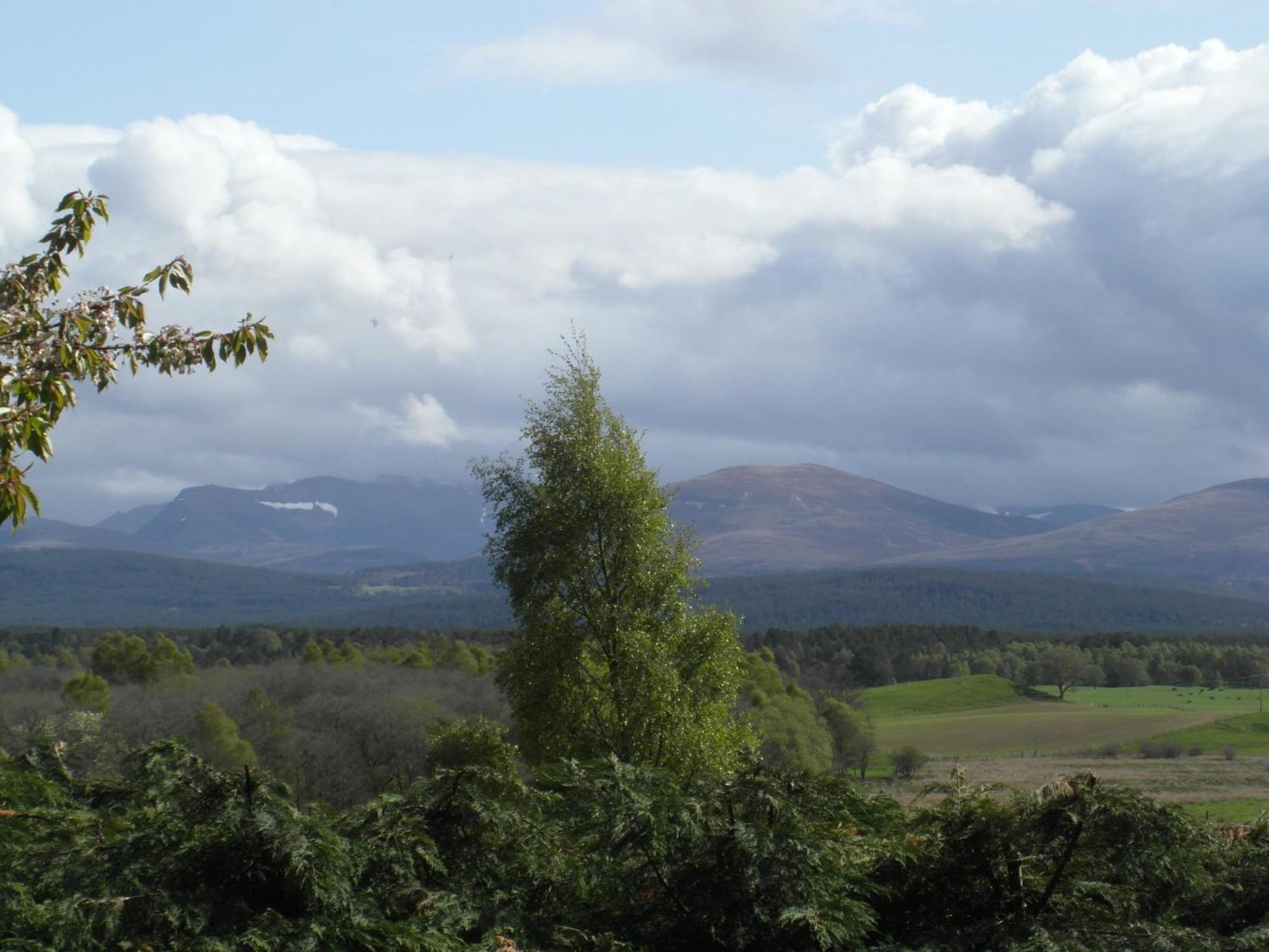 Amazing Cottage With Private Indoor Swim Pool And Hot Tub Grantown-on-Spey Eksteriør bilde